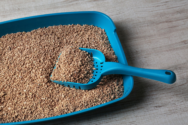 The World We Live In: Kitty Litter for students trapped during school shootings
