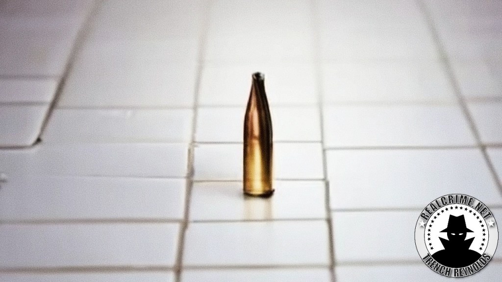 A bullet in the bathroom stops school&nbsp;shooting