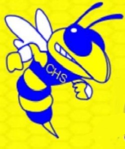 carverhighschoollogo