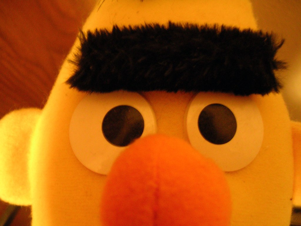 bert